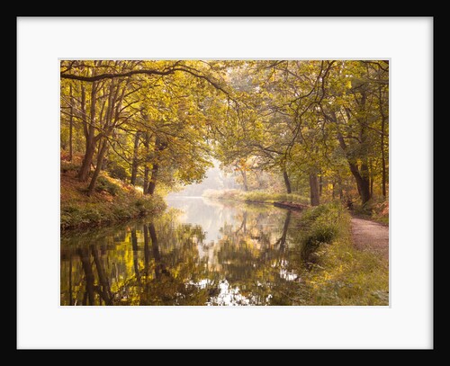 Basingstoke canal by Assaf Frank